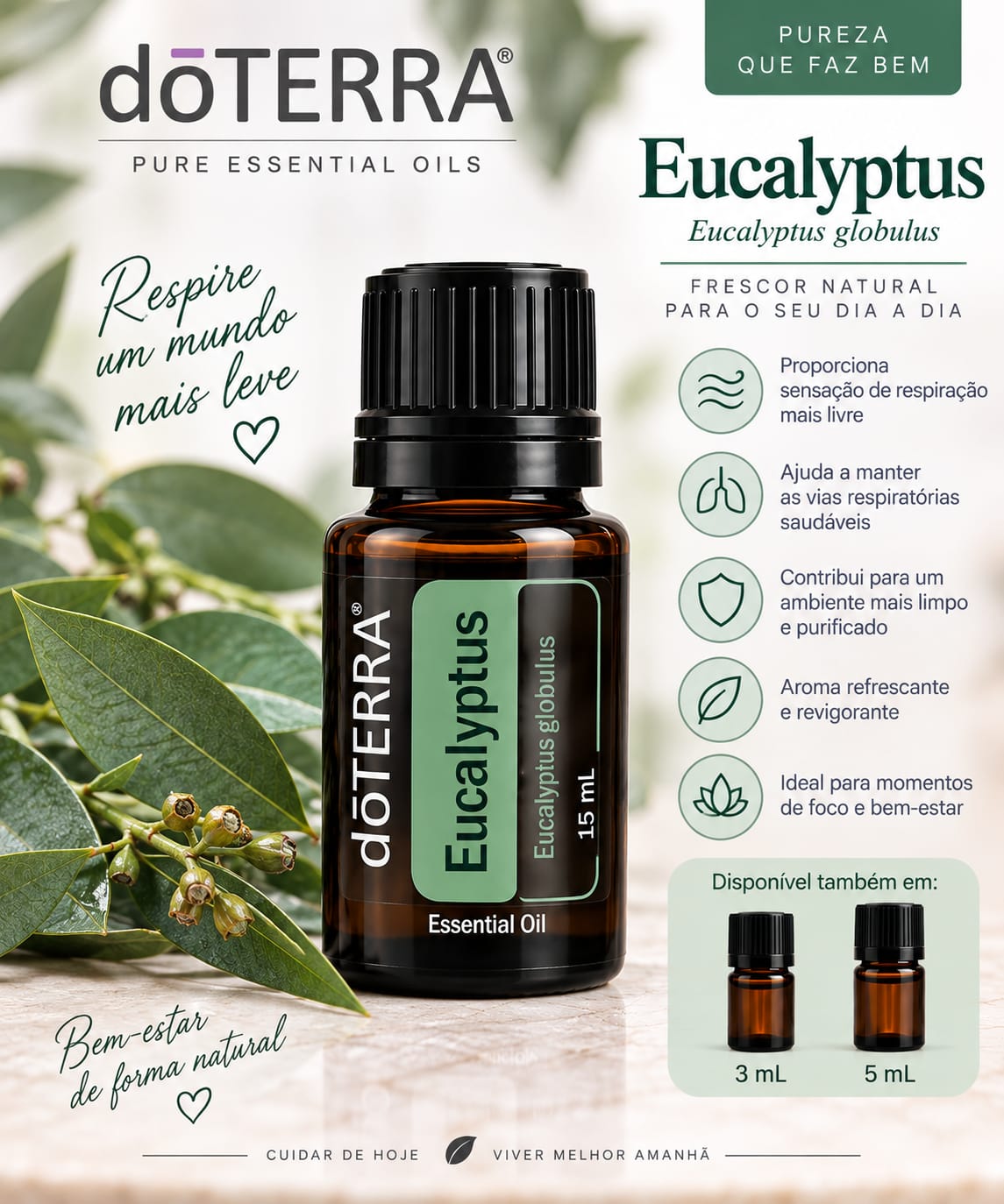 Óleo Essencial dōTERRA Eucalyptus (Eucalyptus globulus)