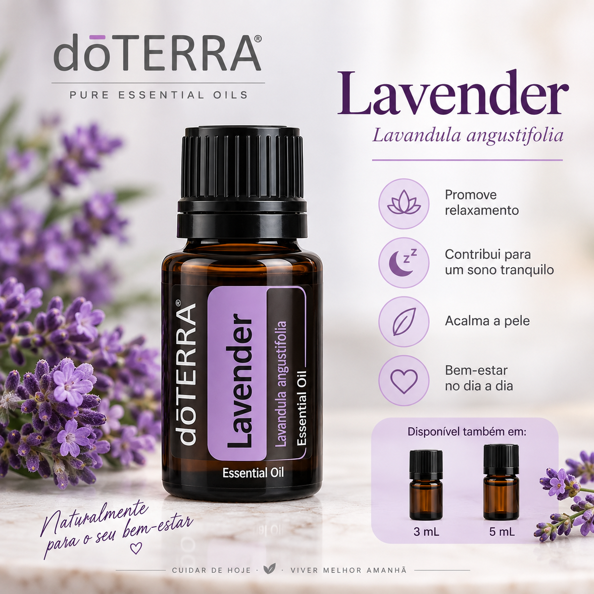Oleo Essencial Lavanda - 3ml
